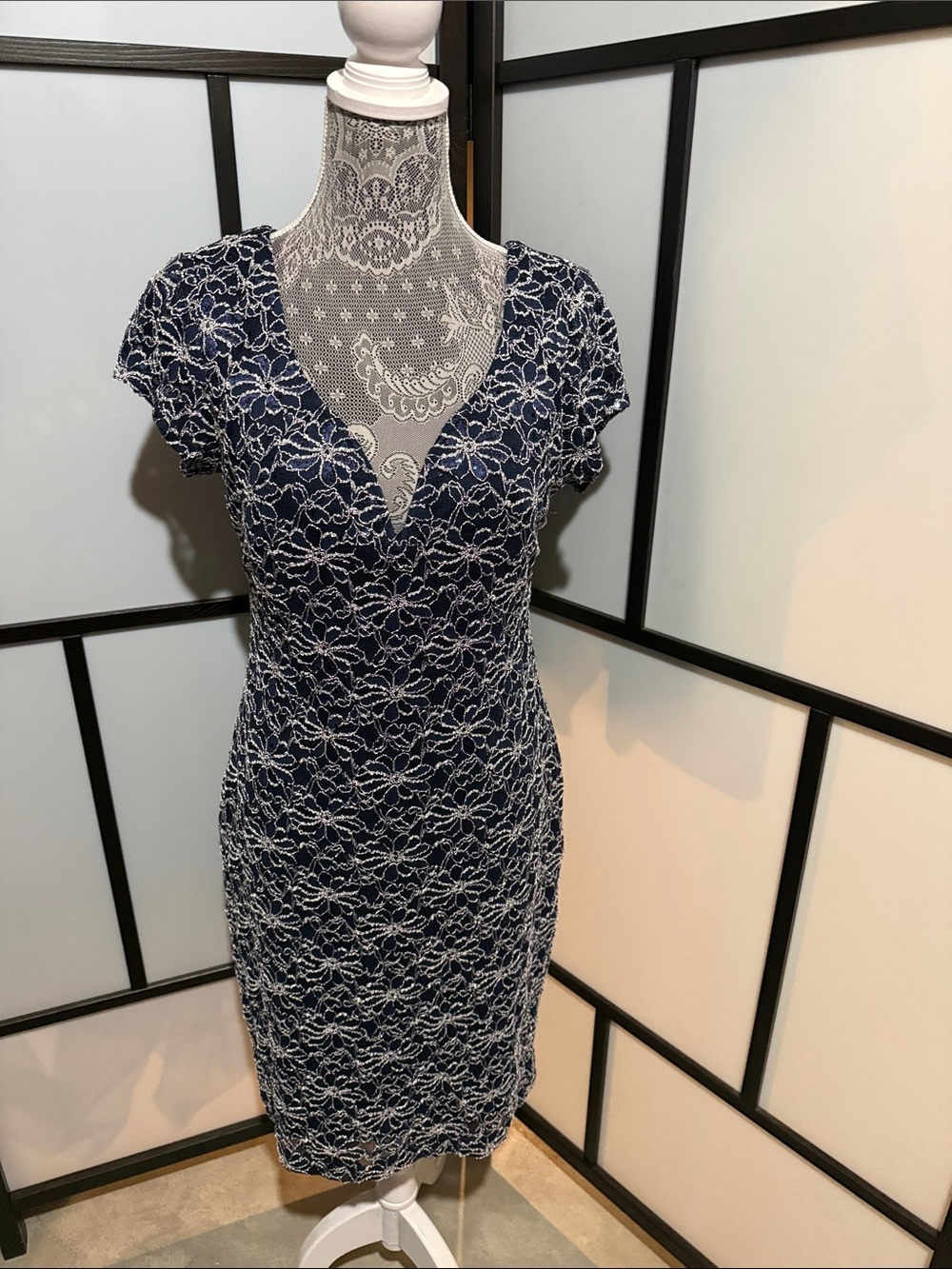 Roz & Ali Navy Dress with White Lace Overlay Sheath
